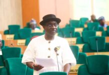 NIGER DELTA DEVELOPMENT: RT. HON. FRED AGBEDI SET GOLD STANDARD FOR PEOPLE CENTERED LEADERSHIP